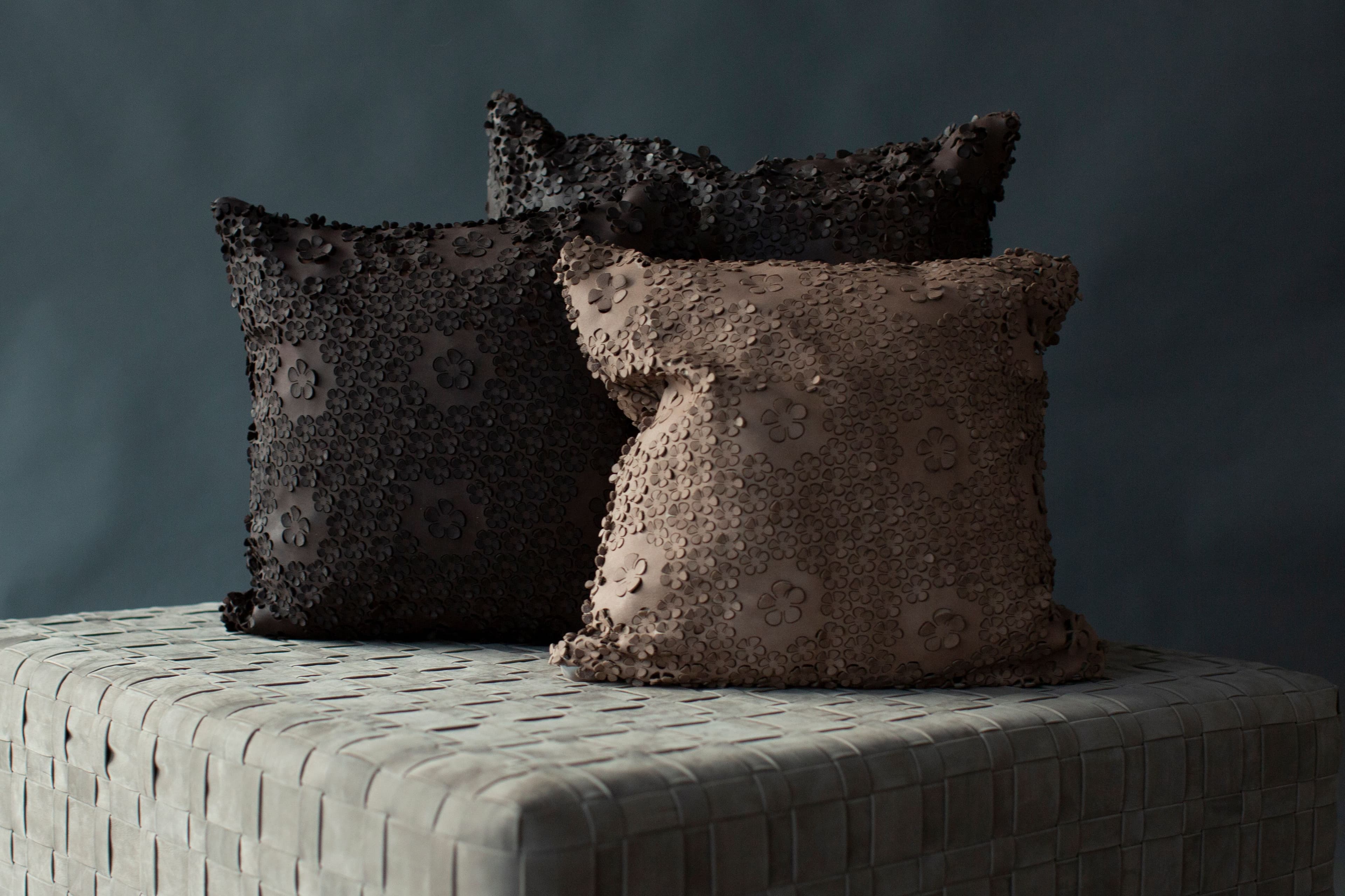 Leather Cushions